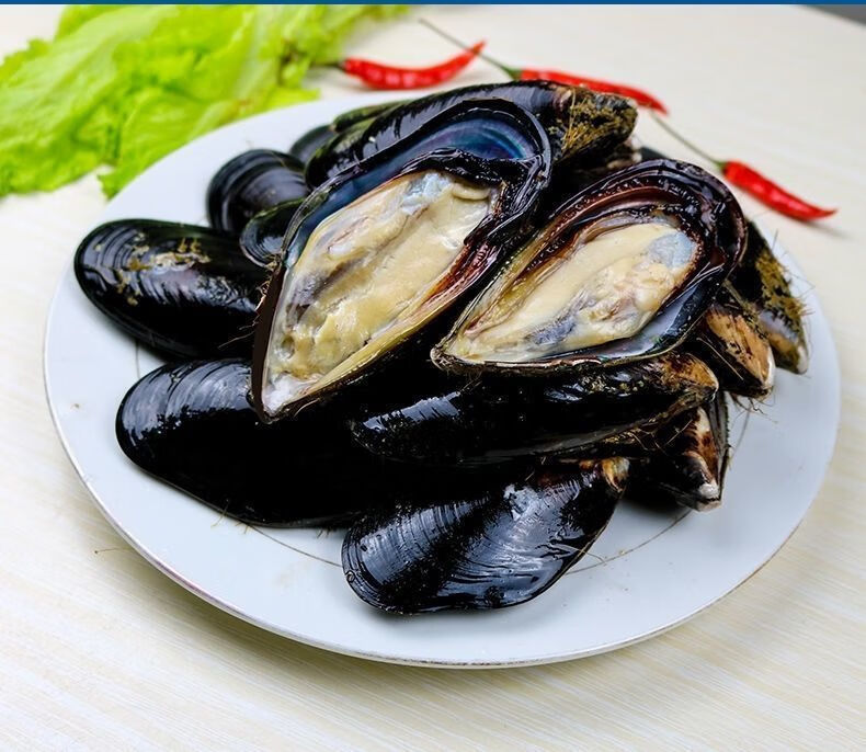 当天捕捞鲜活新鲜无沙大海虹贻贝青口贝当季鲜活淡菜冷链1斤装