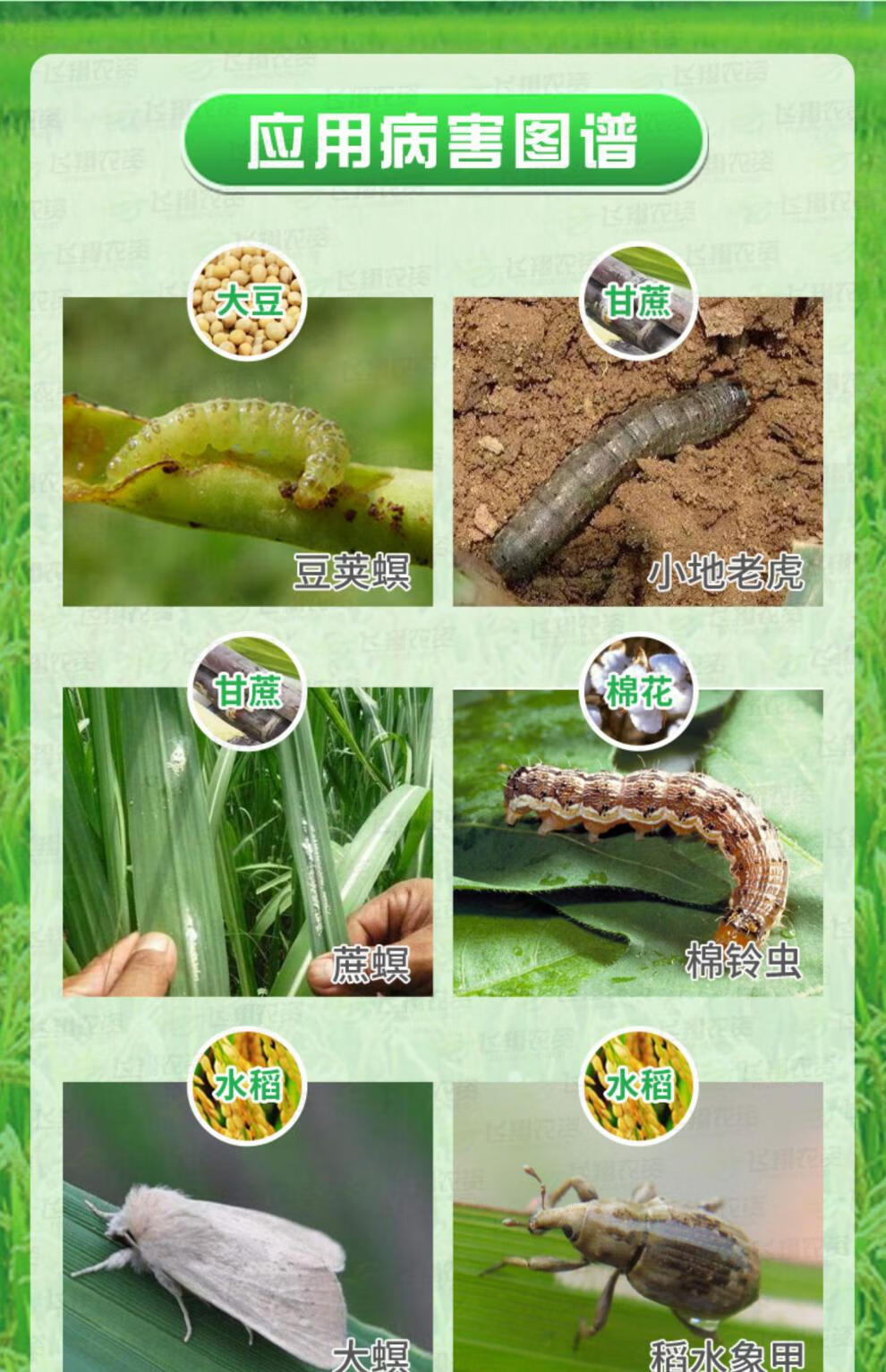 美国杜邦康宽富美实氯虫苯甲酰胺水稻蔬菜钻心虫卷叶螟农药杀虫剂