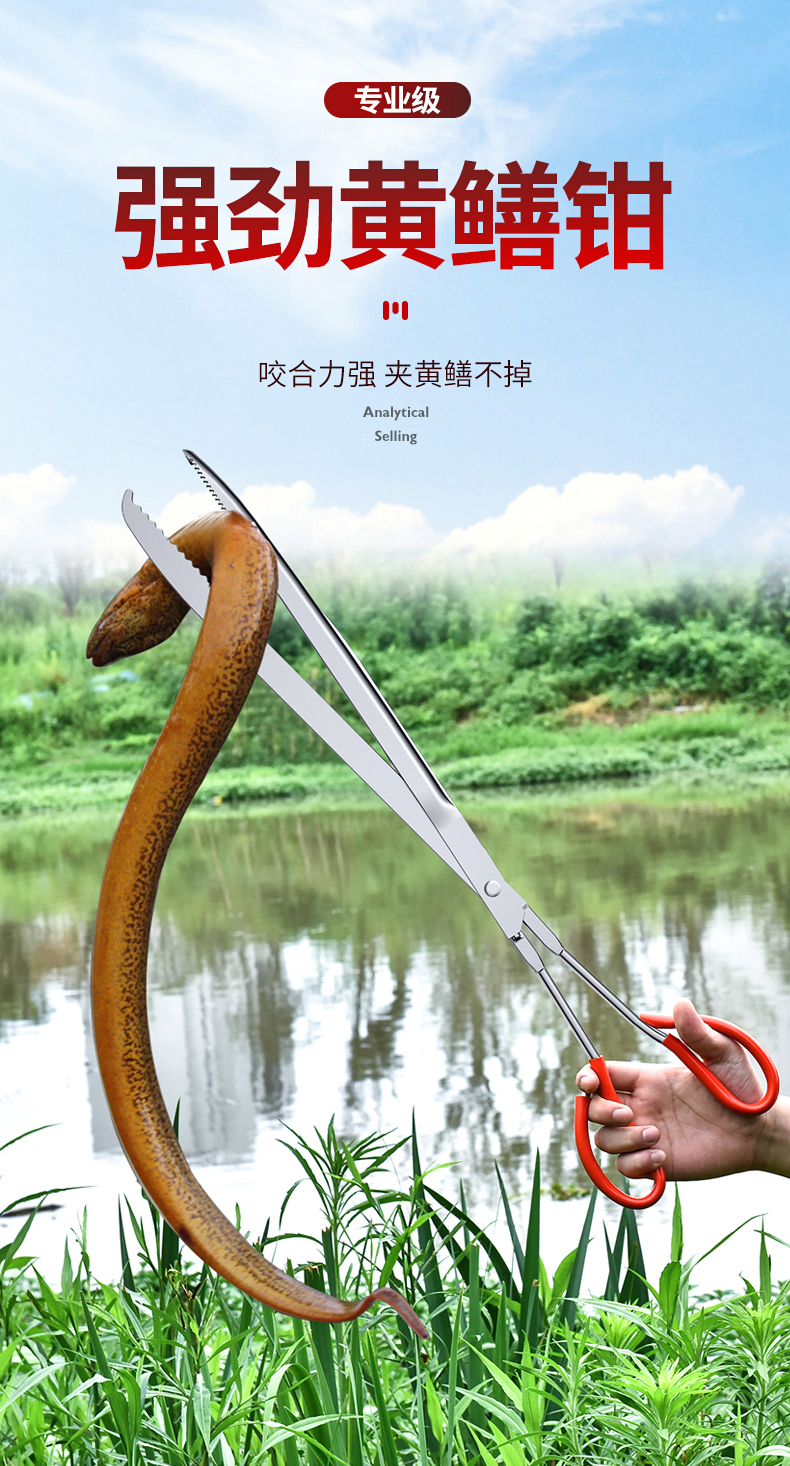不锈钢黄鳝夹子鳝鱼夹泥鳅螃蟹钳子防滑防脱抓捉专用工具赶海神器直口