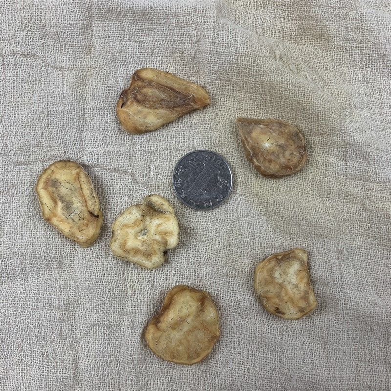 中药材炮天雄天雄散 江油特产天雄片古法扶阳姜润无硫胆康中尊 250g