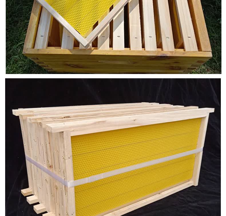 定制适用带框巢础成品巢框巢脾中蜂意蜂杉木巢基蜜蜂巢框养蜂工具蜂箱