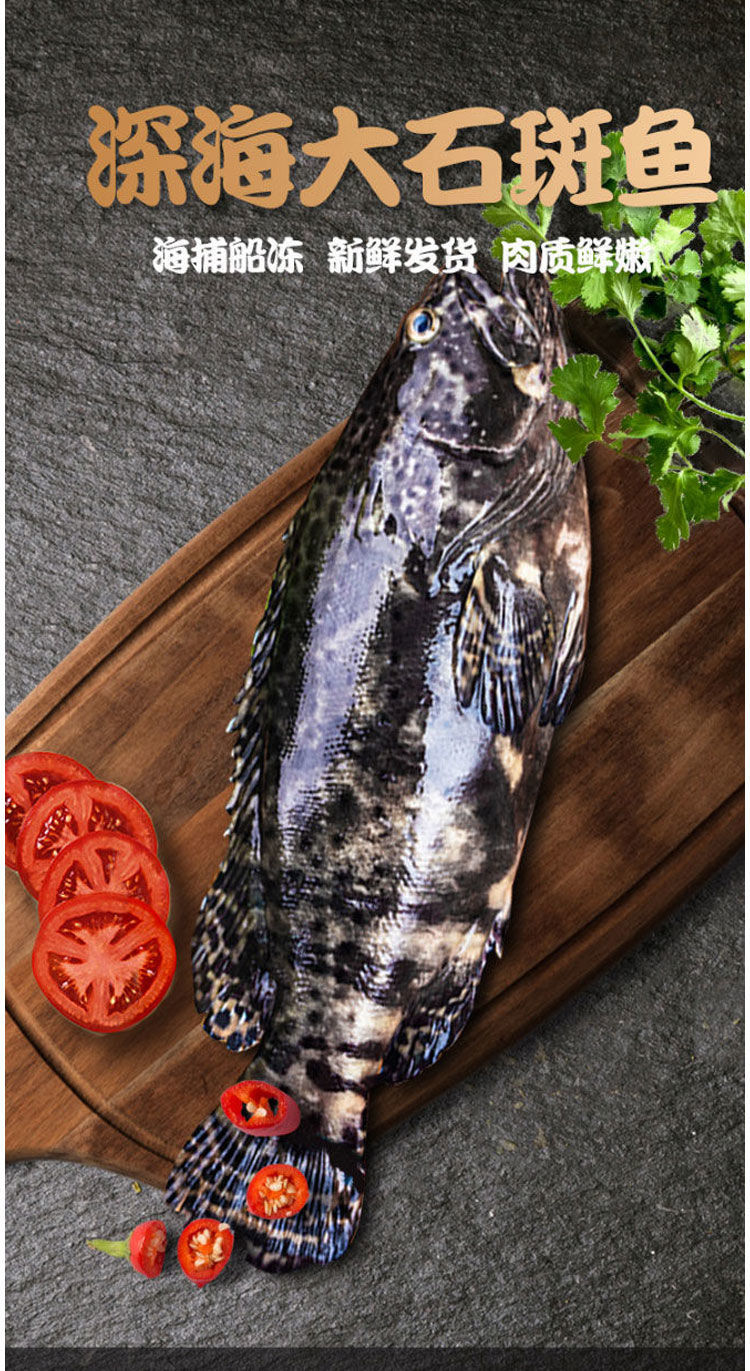 深海石斑鱼鲜活石斑鱼石斑鱼冷冻珍珠斑鱼龙胆老虎斑12斤超值091斤条1