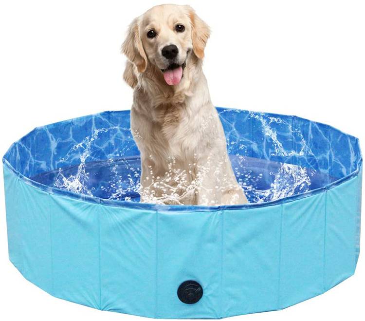 大型犬洗澡盆宠物狗狗洗澡盆可折叠大型犬金毛游泳池洗澡桶猫咪浴盆