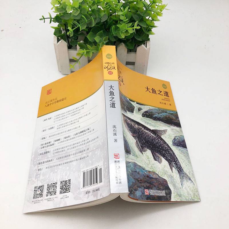 《大鱼之道 升级版/动物小说大王沈石溪品藏书系 沈石溪 大鱼之道》