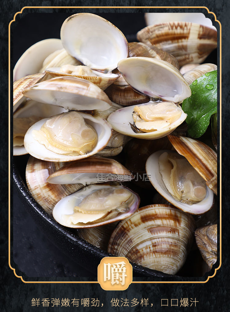 超大美贝新鲜花蛤鲜活水产鲜活无沙蛤蜊花甲海鲜三二实发五斤中号实惠