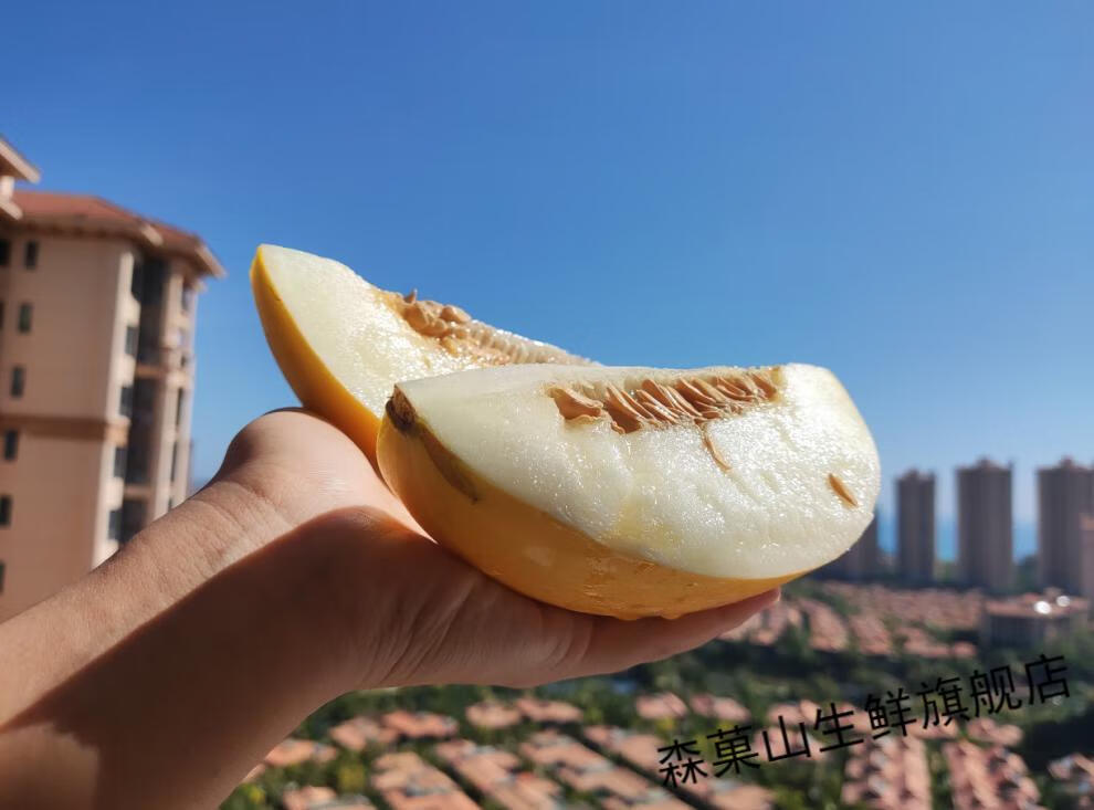 海南金美人沙地蜜瓜8斤金镶玉普通装哈密瓜新鲜水果净重885斤4到6个