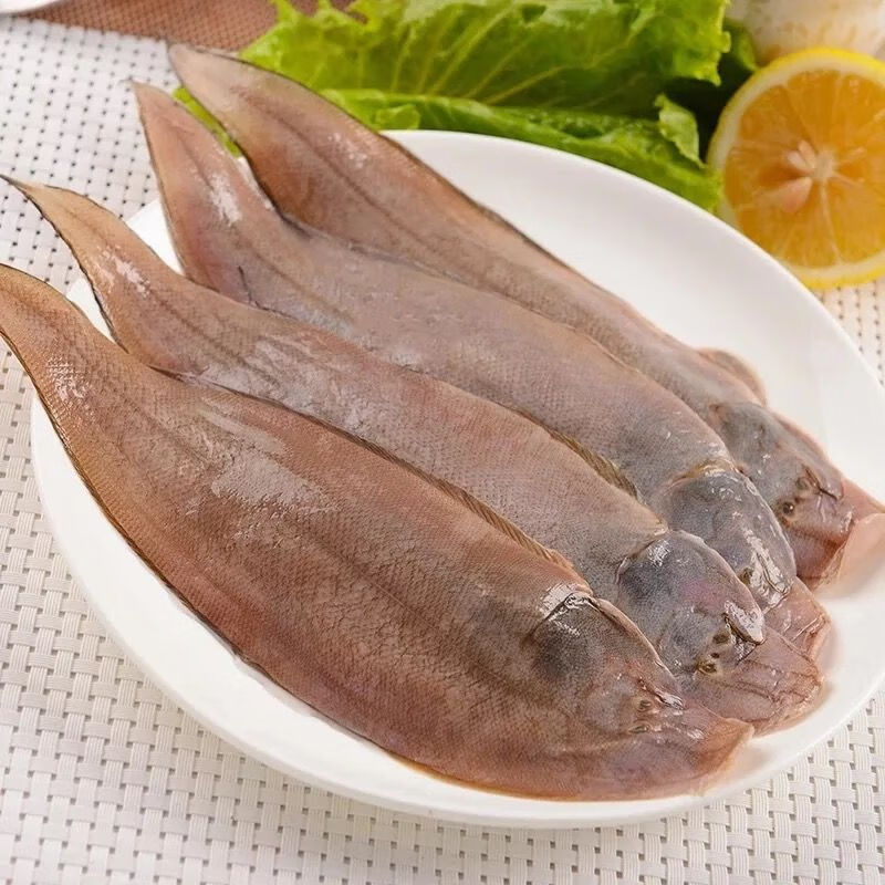 新鲜海鲜 舟山舌头鱼 踏板鱼 龙利鱼 比目鱼鲜活冷冻水产海鱼 去皮去