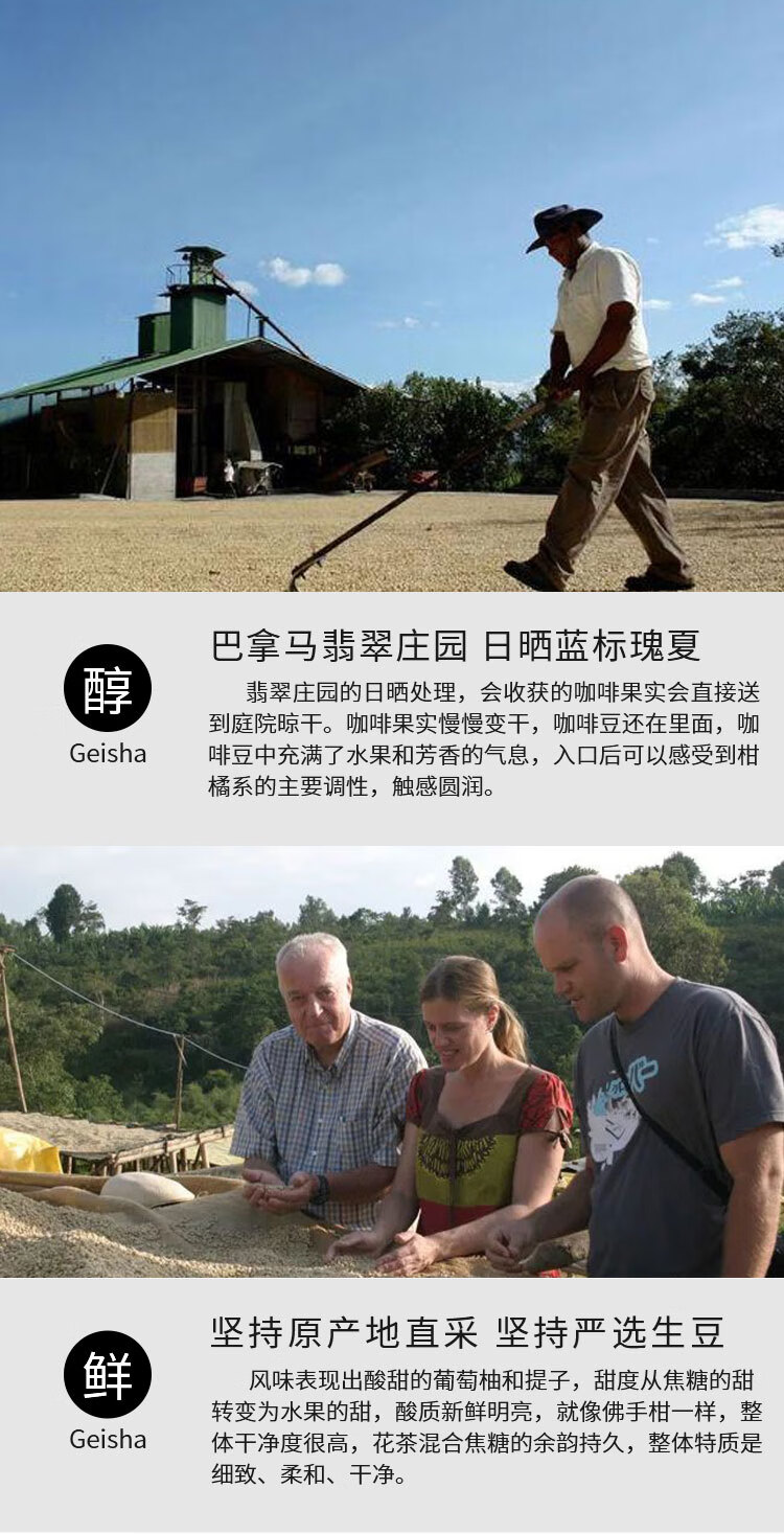 巴拿马翡翠庄园原产地直采现磨浅烘手冲日晒咖啡豆125g 中度烘焙 125g