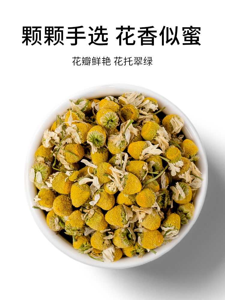 德国洋甘菊花茶洋甘菊花茶西洋甘菊2022新花罗马洋甘菊花葛森德国洋