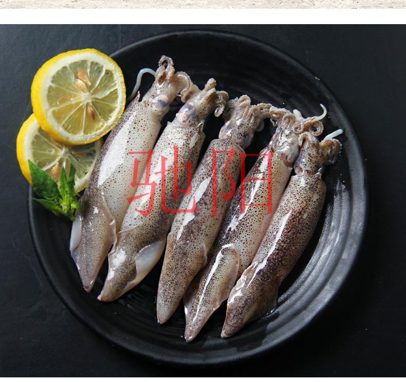 海兔子满籽新鲜活笔管鱼带籽海兔海鲜鲜冻全籽籽乌整箱小鱿鱼水产