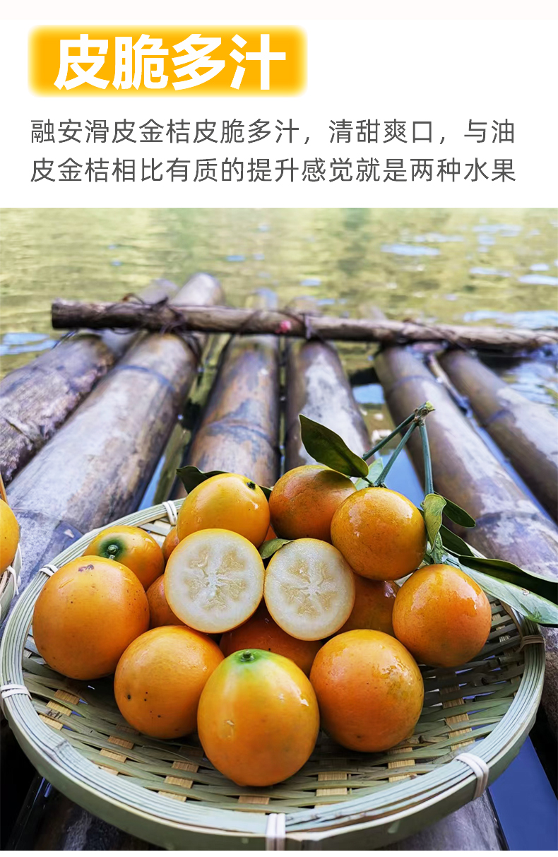 脆蜜金桔广西融安滑皮金桔脆蜜金柑新鲜水果第三代大金橘顺丰脆蜜金柑