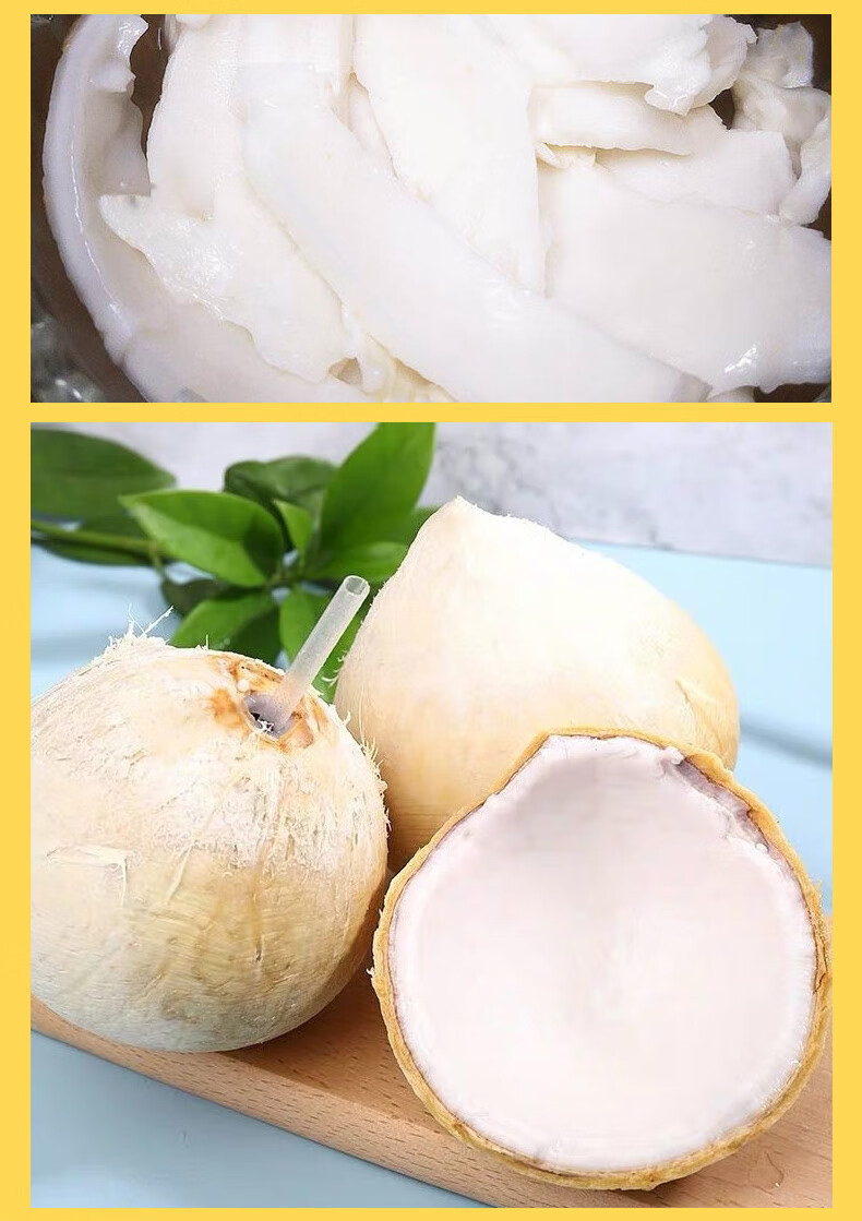 海南牛奶香椰子小奶椰芋椰皇三亚新鲜水果甜品店椰子鸡商用顺丰【坏果