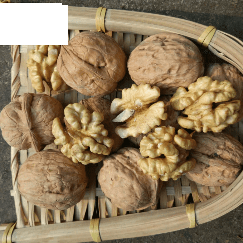 山西吕梁农家特产汾阳核桃5斤10斤发散装 8斤山西吕梁核桃【图片 价格