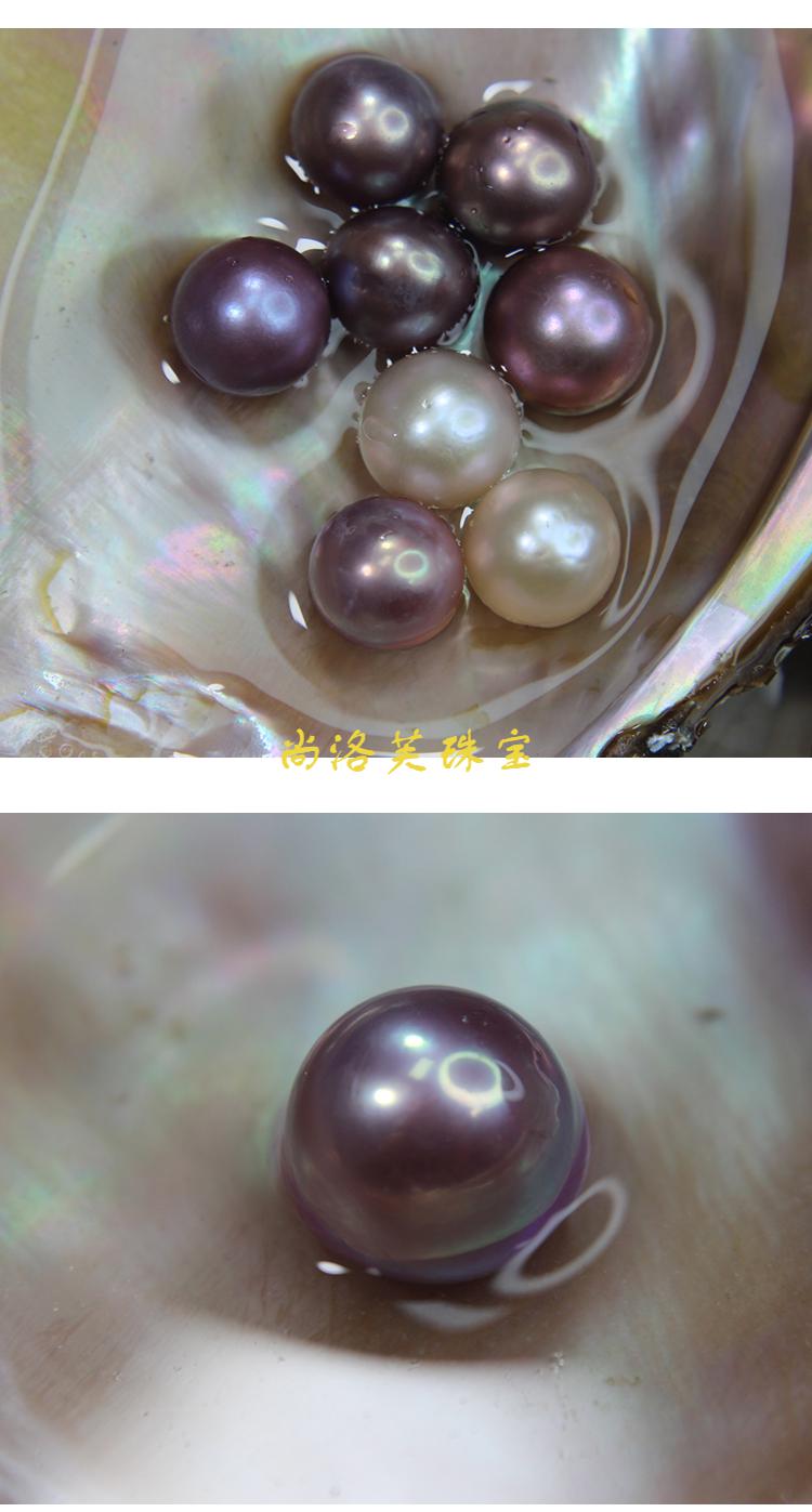 京选甄品珍珠河蚌自己开活蚌壳取爱迪生珍珠鲜活珍珠蚌单颗巨无霸单珠