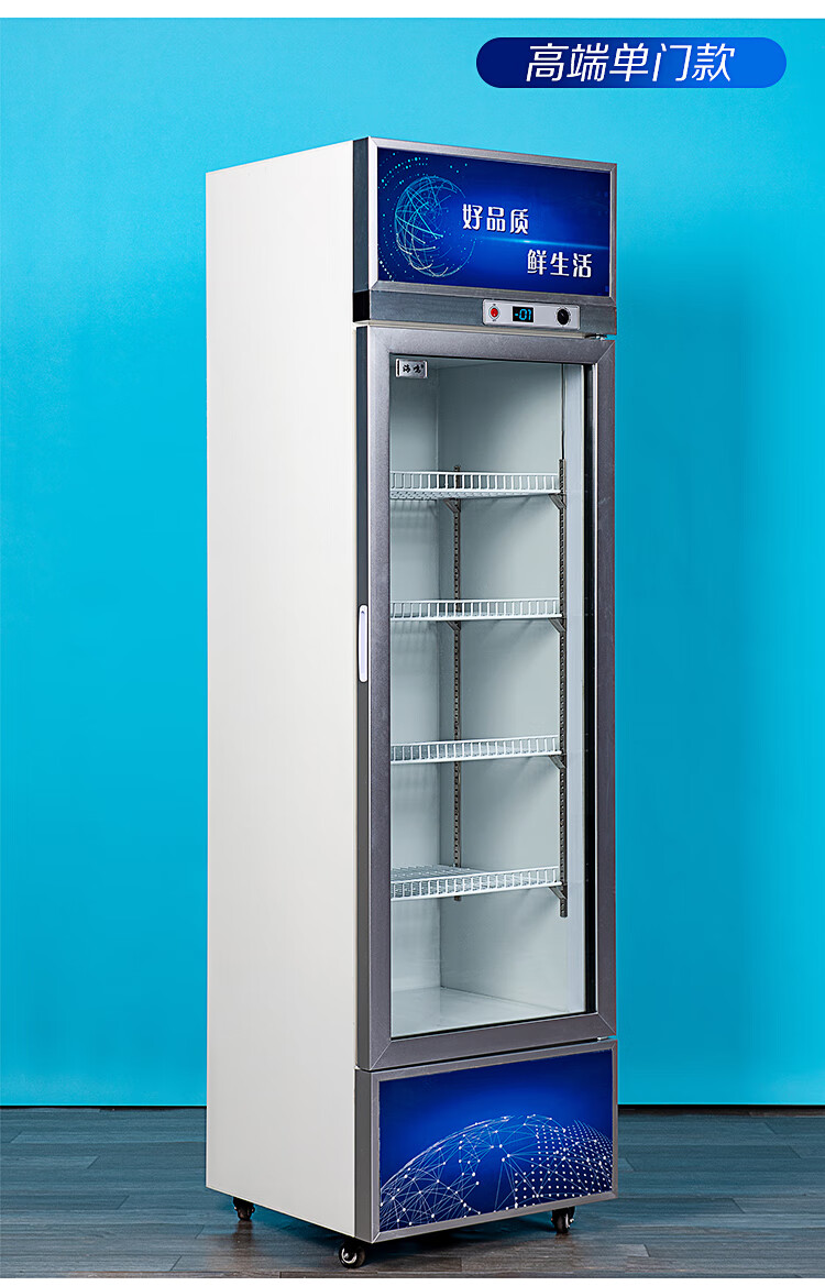 冷藏柜展示柜保鲜柜立式双门铜管商用饮料冷饮蔬菜水果柜冰柜标努12米