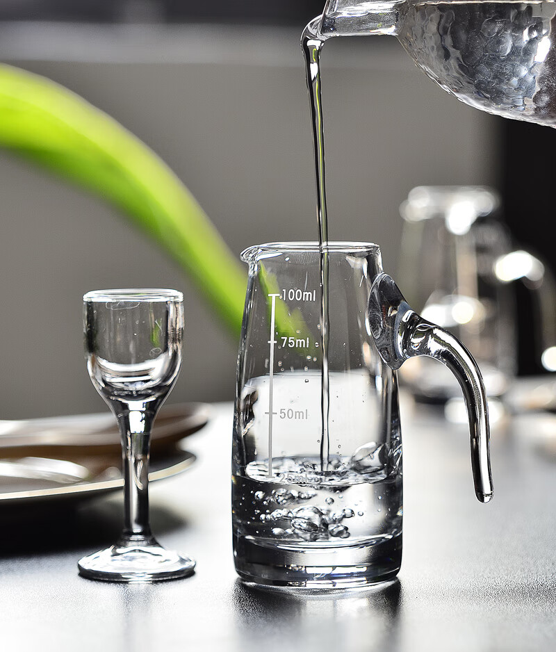 二两分酒器家用白酒杯套装酒具一壶一杯小号一口高脚烈酒杯带刻度杯架