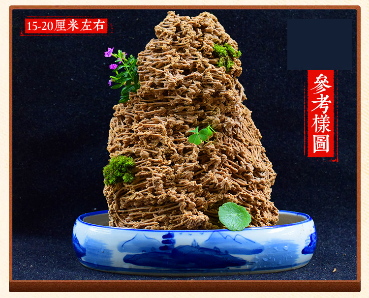 吸水石盆景假山芦管石上水石植物化石微景观摆件麦管石10公分左右