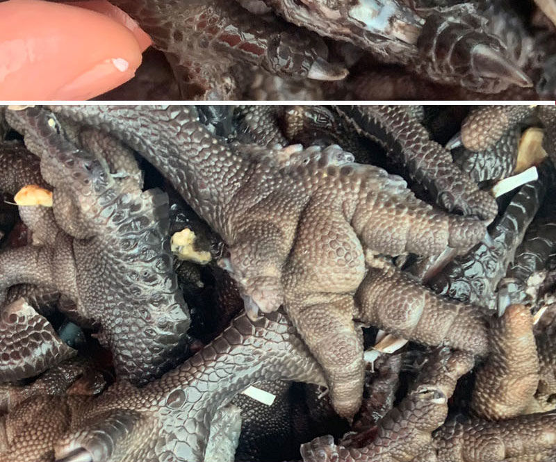 无骨乌鸡爪 四川火锅食材 无骨乌鸡脚鸡尖带小骨 5斤煮久回化-雨林食