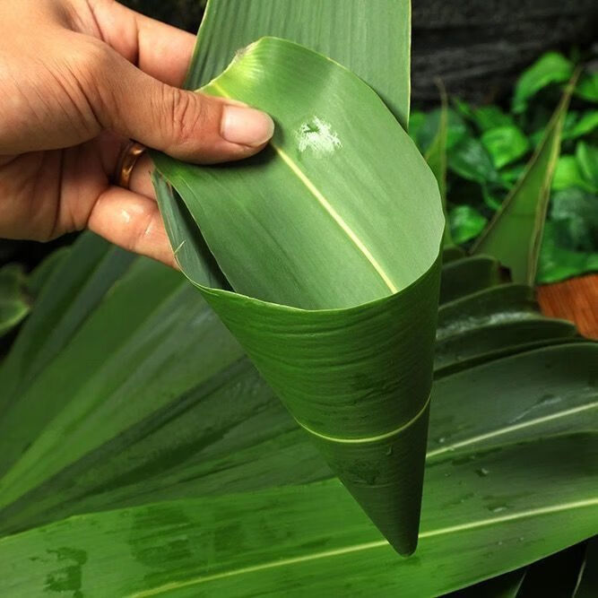 现货新鲜粽子叶现摘现发天然野生大粽叶端午节叶清香芦苇叶有货新鲜