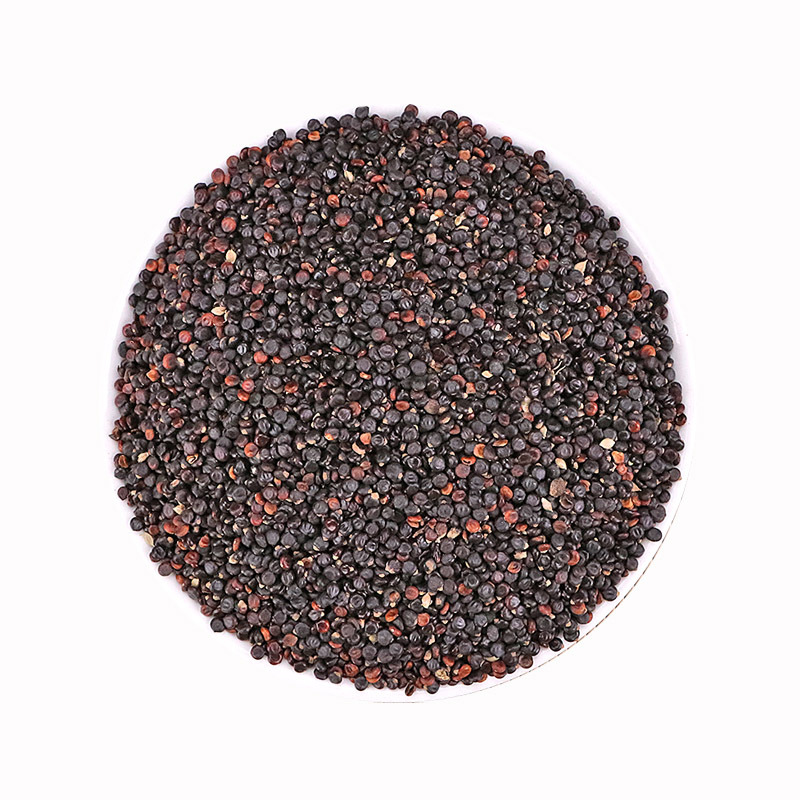 北京同仁堂枳椇子中药材500克g筛选拐枣籽可搭配葛根枳椇子茶中药泡水