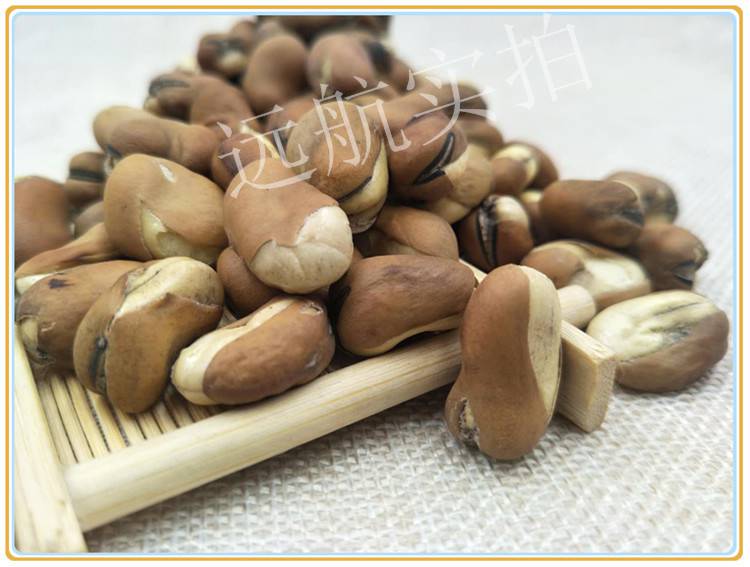 21年酥蚕豆十三香酥级蚕豆天津产袋装500g/袋盐酥豆散装 酥蚕豆2斤