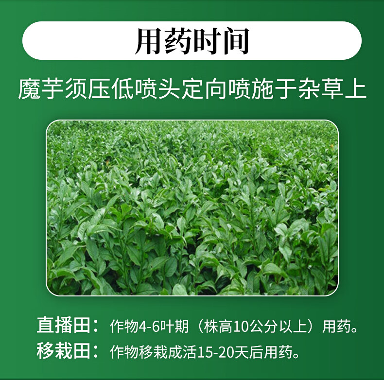 魔芋除草剂魔芋专用农药除草剂精喹禾灵杂草灭草剂双除安全不伤苗120g