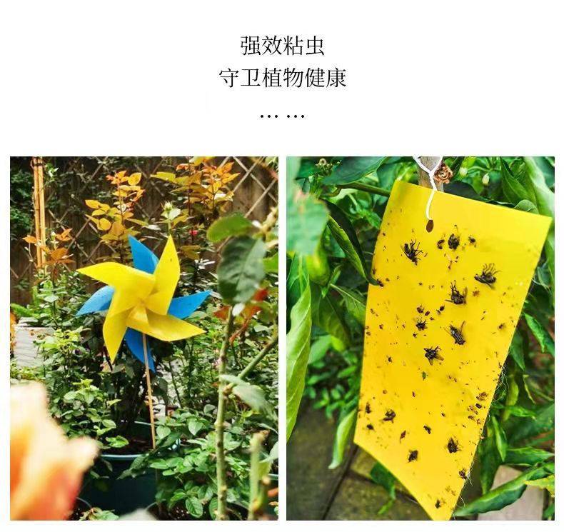 双面防水装粘虫板黄板诱虫板灭虫板篮板果园大棚粘板诱虫板粘蓟马100
