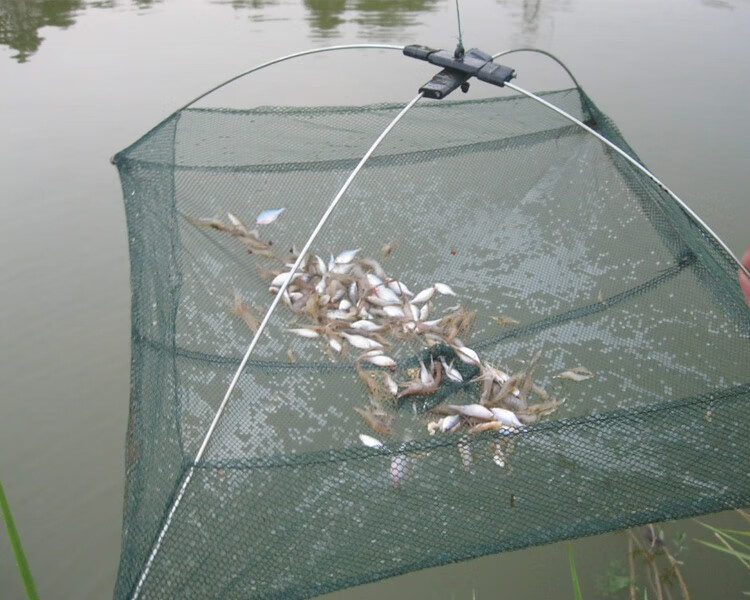 搬罾网提网抬网网鱼网小虾网小鱼网小龙虾鱼笼虾笼
