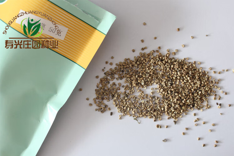 冬寒菜种子种籽冬苋菜菜籽孑冬天秋冬季菜苗菜种蔬菜盆栽籽种青菜冬寒