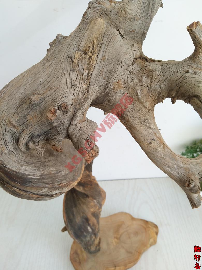 2022新款pvc内牙活接太行崖柏摆件根雕崖柏毛料原料陈化料红白料树根