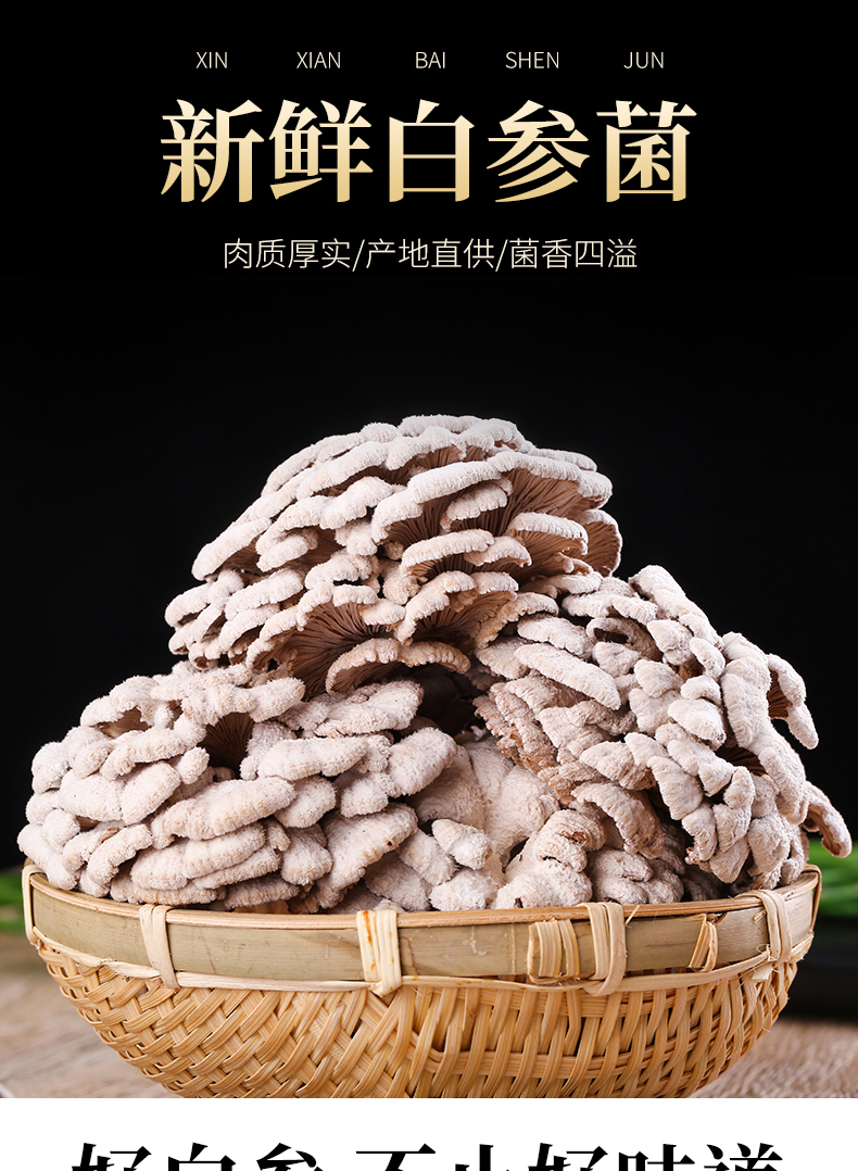 新鲜白参菌1斤装云南特产当季食用菌雪莲花菌菇新鲜蔬菜 新鲜白参菌家