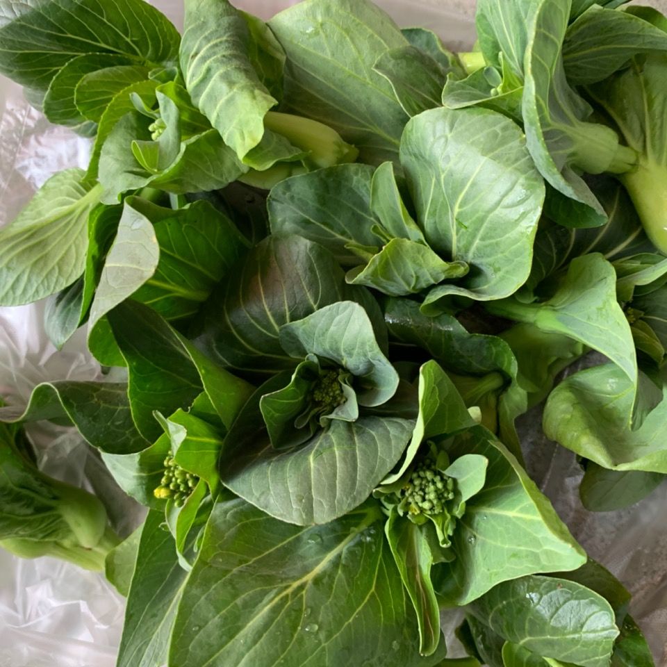 新鲜霜冻青菜苔菜心白菜苔甜糯嫩菜心菜心绿色新鲜菜苔4斤装顺丰