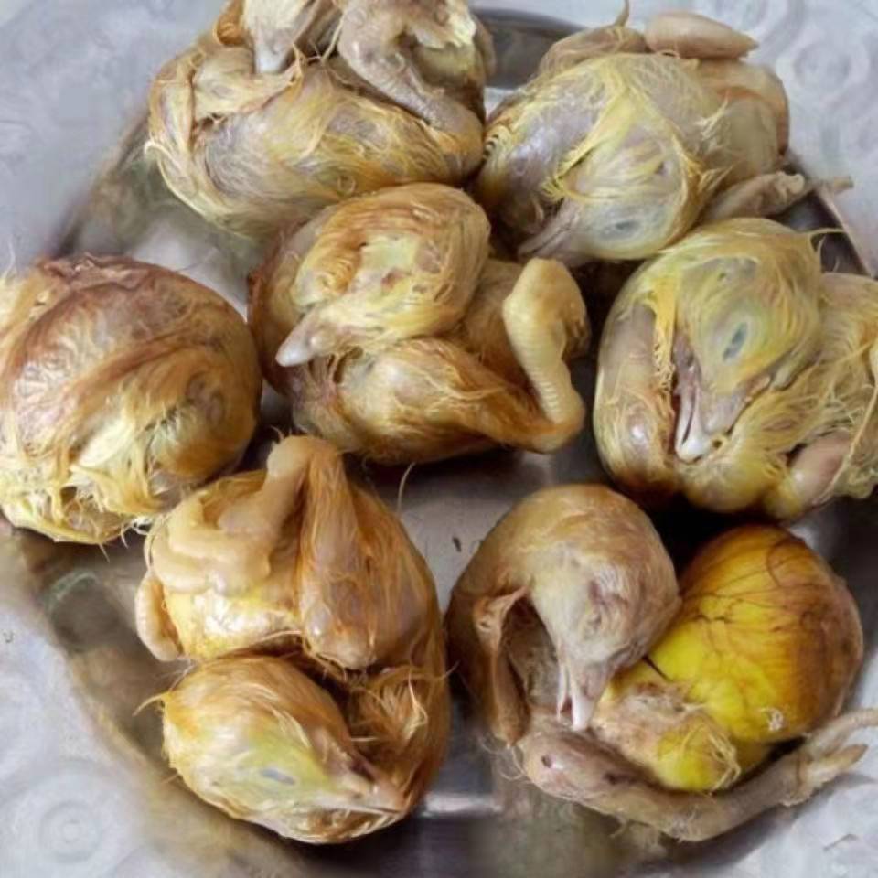 毛蛋鸡胚蛋新鲜批发生的1820天喜蛋凤凰蛋旺蛋小鸡成型带毛的40个装