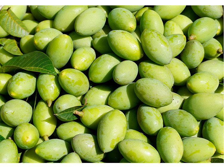 坏果包赔20新鲜橄榄现摘新甘榄青果煲汤泡水生吃果买