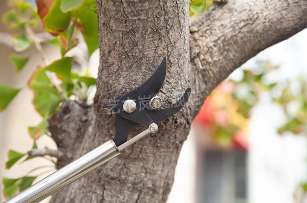 西翼2022新款 加长杆高枝剪修枝剪可伸缩剪刀树枝剪园林果树剪高空剪