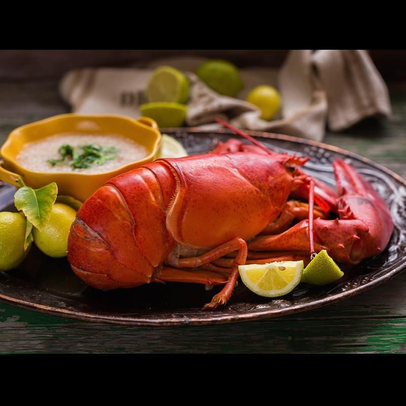 波士顿龙虾鲜活速冻加拿大海鲜水产冰鲜大波龙特大115斤一只2630斤只