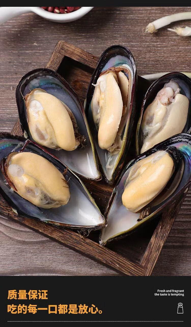 湾钰蜜 青口贝 鲜活特大青口贝新鲜大海虹淡菜贻贝特大贝类海鲜水产现