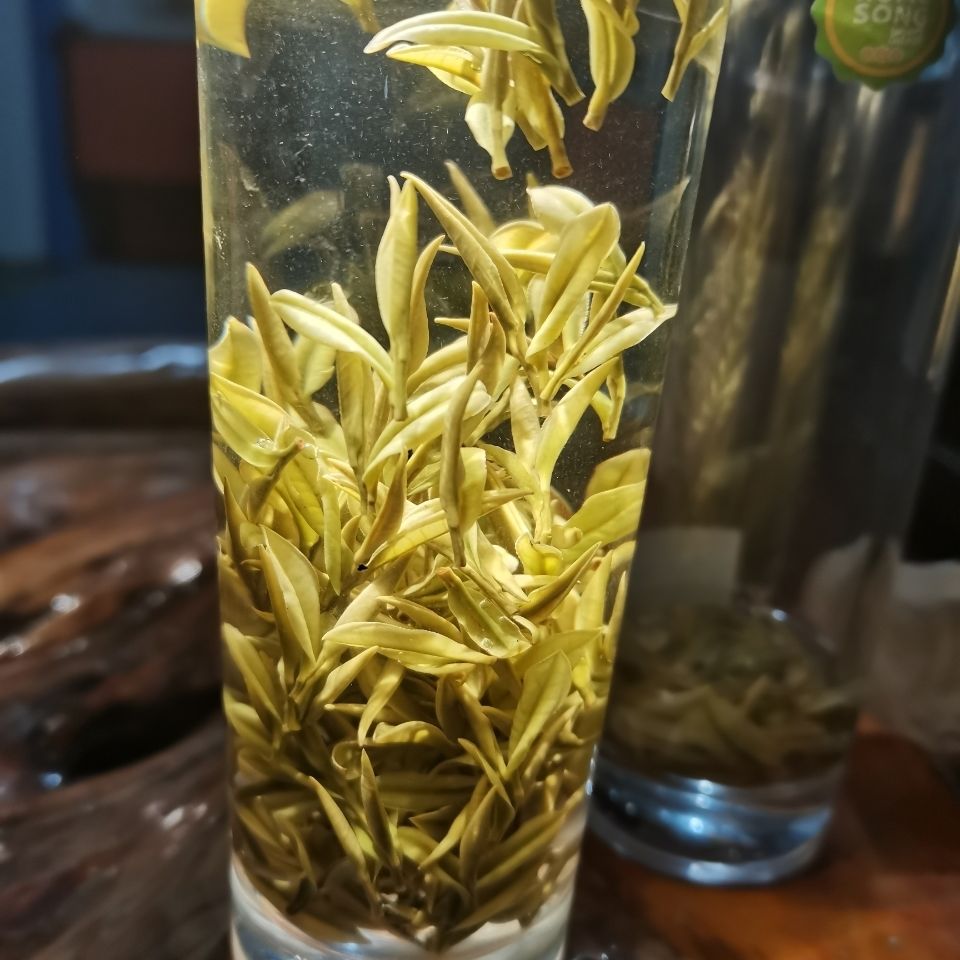 白茶 2021年新茶贵州正安.