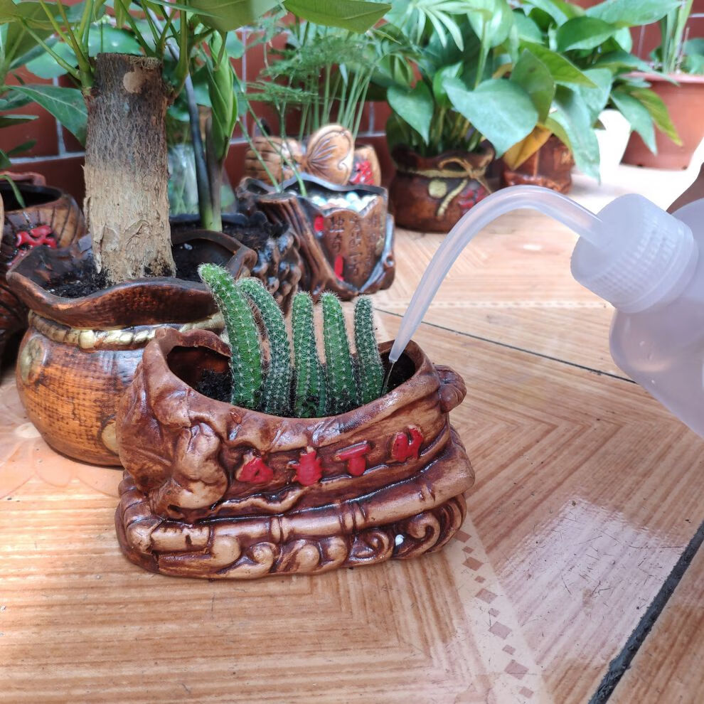 多肉弯嘴壶浇花浇水工具神器懒人喷壶家用大号透明喷花瓶喷水长嘴500