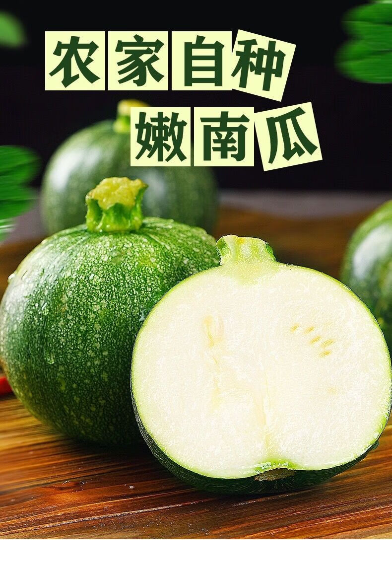 四川新鲜南瓜小圆瓜批发圆形西葫芦绿皮青皮嫩瓜时令蔬菜 嫩南瓜5斤