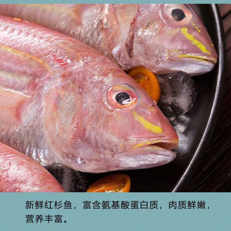 红杉鱼海鱼新鲜冷冻海鲜水产深海钓红三鱼金丝鱼金线鱼红衫鱼金丝鱼去