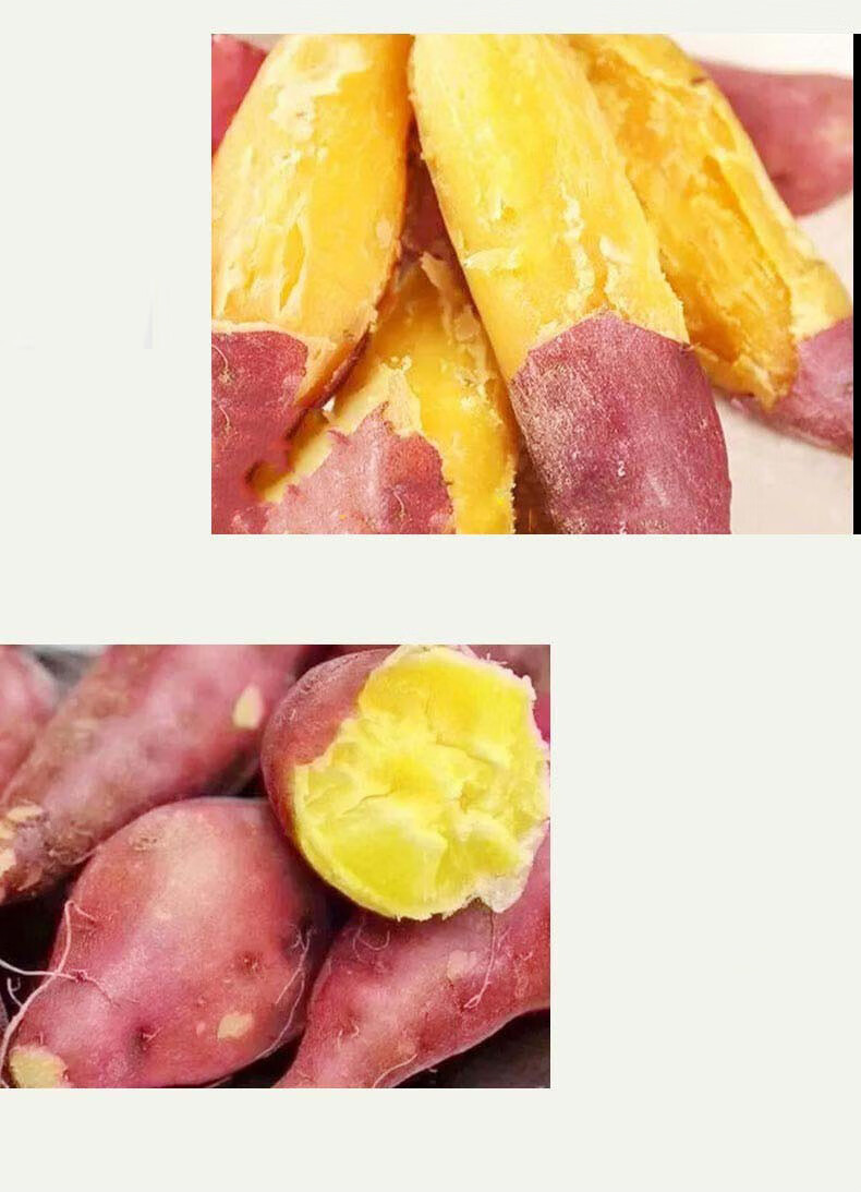 jd物流玛莎莉红番薯日本品种农家自种蜜薯新鲜现挖黄心山芋地瓜玛莎莉