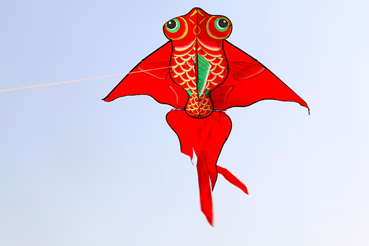 潍坊风筝新款卡通大金鱼大型软体儿童微风易飞线轮初学者蒂曦芸 大