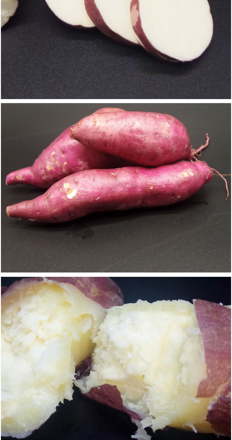 精选生鲜现挖10斤白心红薯新鲜糯粉板栗薯农家番薯地瓜山芋蜜薯15斤白