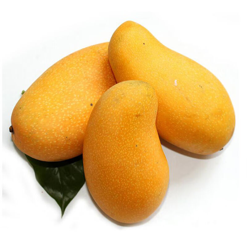 海南当季大金煌芒水果