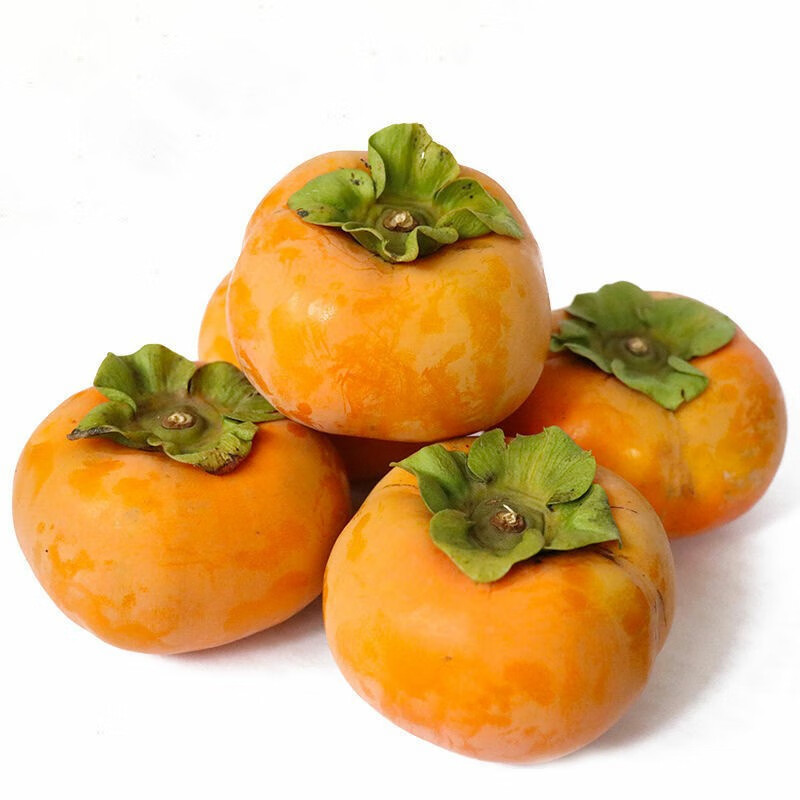 骄瑰 台湾品种苔果荟富有脆柿5斤礼盒无核甜脆柿