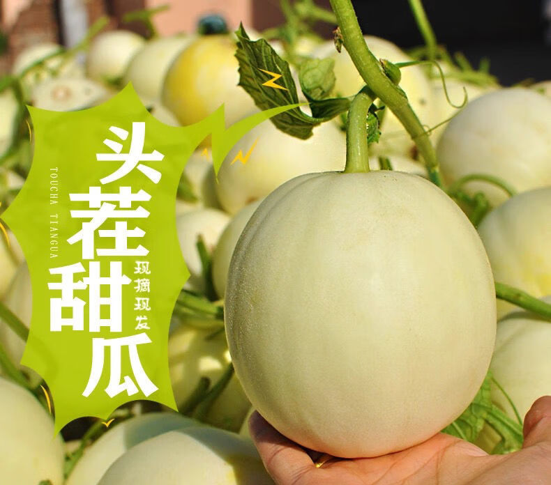 阎良瓜脆甜瓜新鲜酥脆甜蜜瓜脆瓜香瓜当季孕妇水果净重45斤单果300g