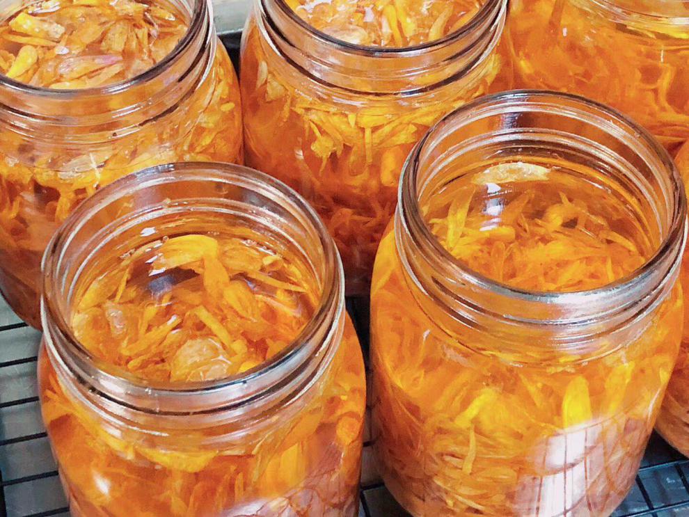 橙伯乐新鲜鹅油食用鹅板油冷冻鹅5000克10斤装新油