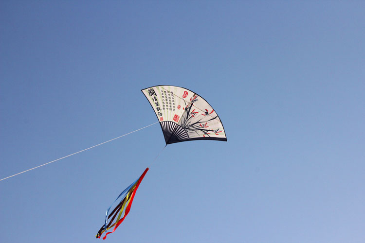 602019梅花扇子风筝儿童卡通中小型风筝线轮套餐520礼物29米格子布