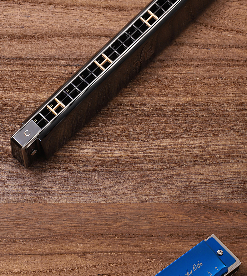 上海国光口琴24孔复音c调初学者儿童学生成人入门演奏级黑色c调重音